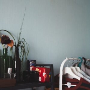 Traveling Midwife Journal